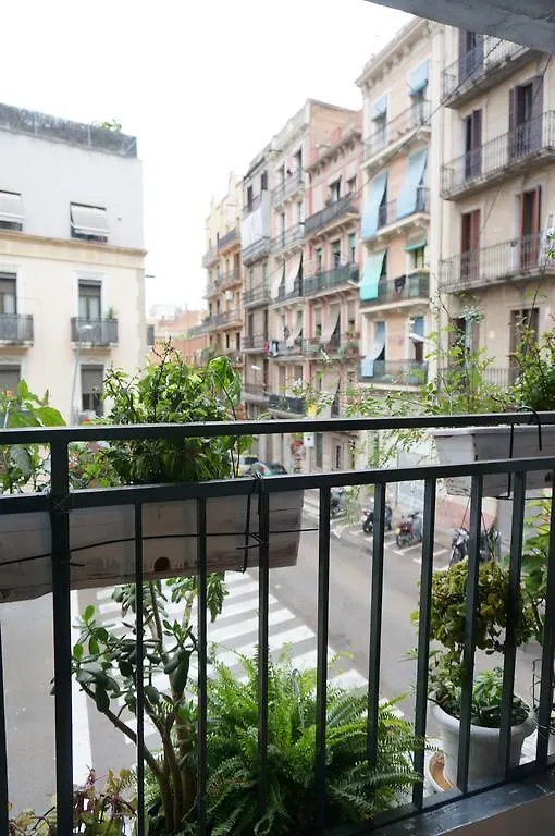 Camino B&B Barcelona Hostel